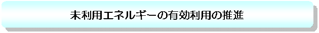 �p�ێl�p�`: �����p�G�l���M�[�̗L�����p�̐��i